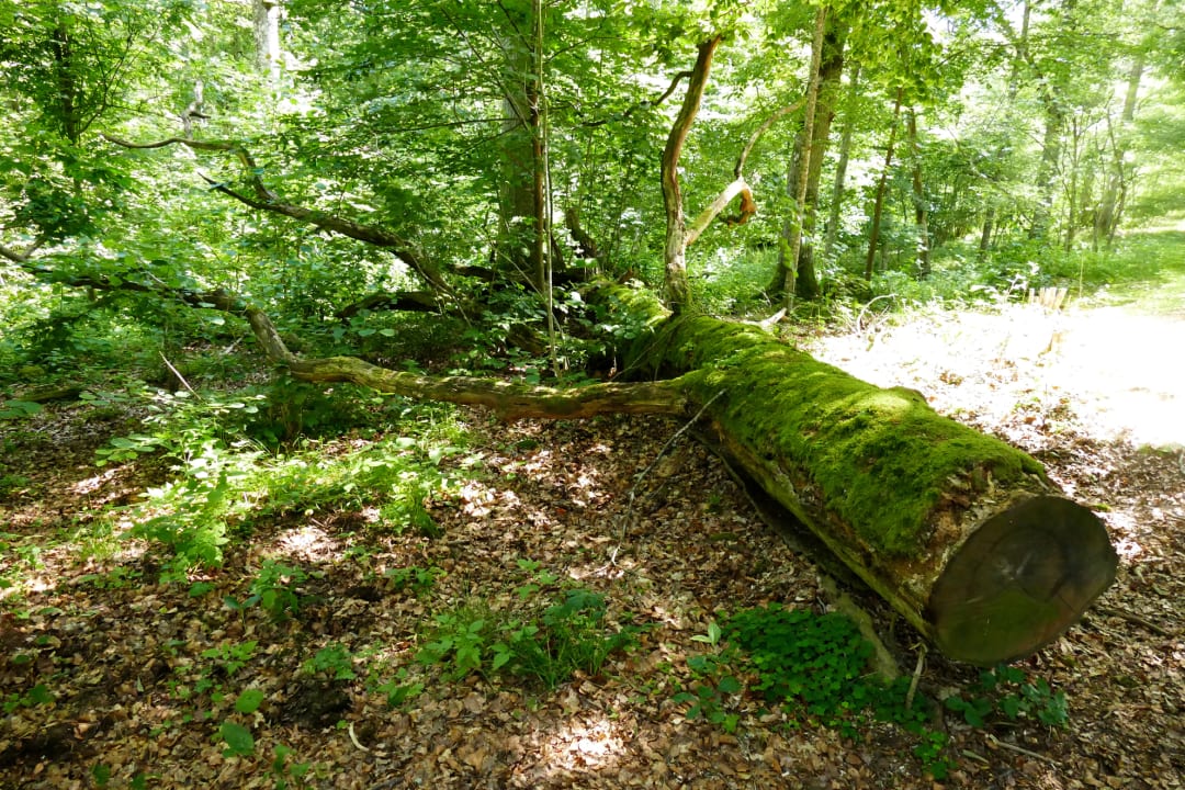 Sonstiges Grimsnas Herrgard