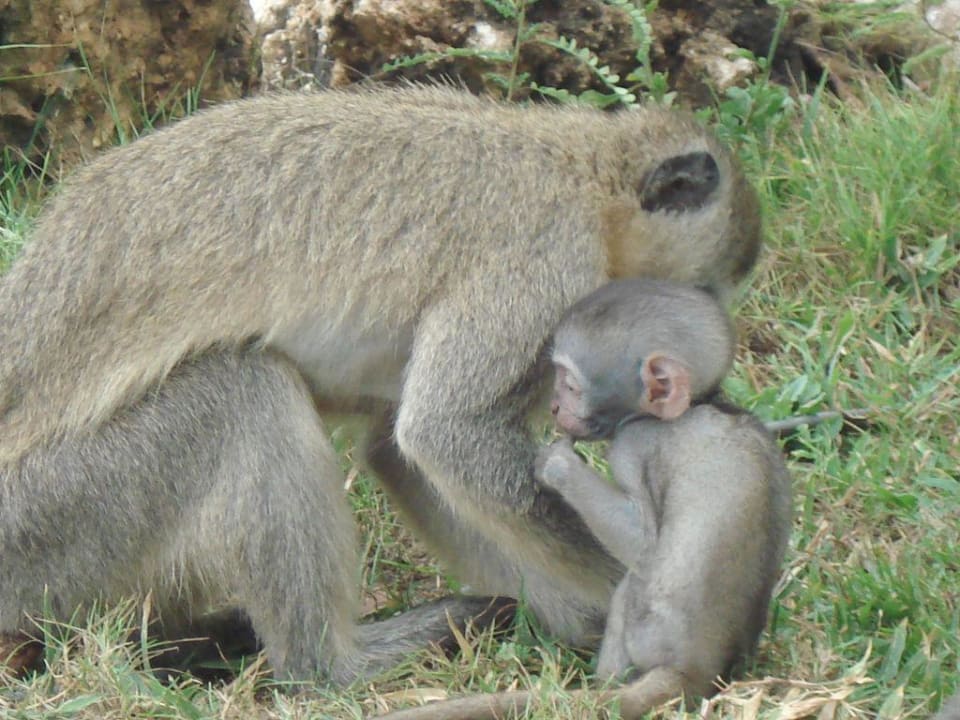Mama mit ihrem Kind Baobab Beach Resort & Spa