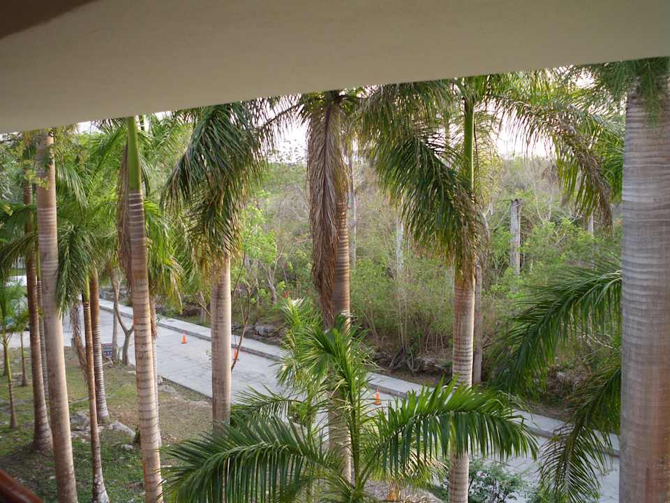 Blick vom Balkon in die Natur Hotel Mayaland