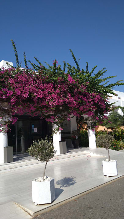 Außenansicht Anissa Beach & Village