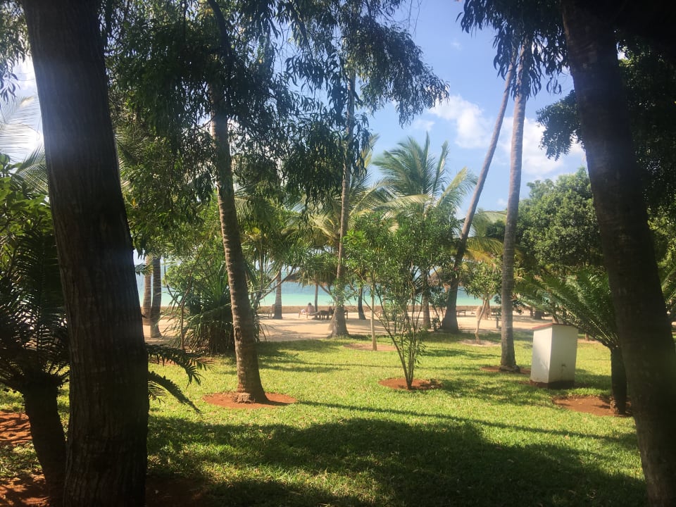 Ausblick Jaz Adonia Beach Resort