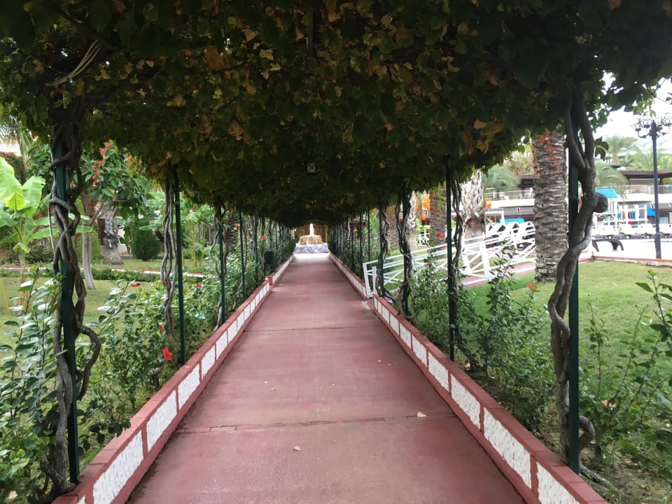 Garten Hotel Turan Prince