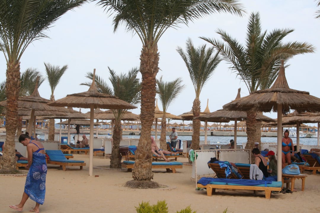 Beach Beach Albatros Resort