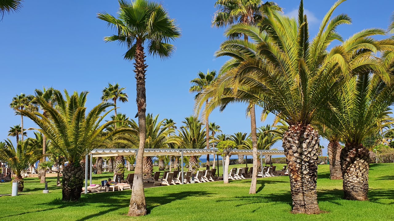Gartenanlage Hotel Riu Palace Tenerife