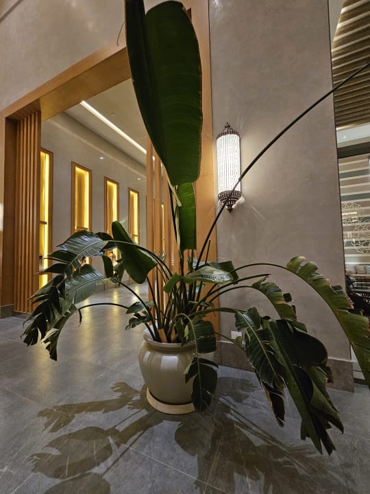 Lobby Steigenberger Resort Ras Soma