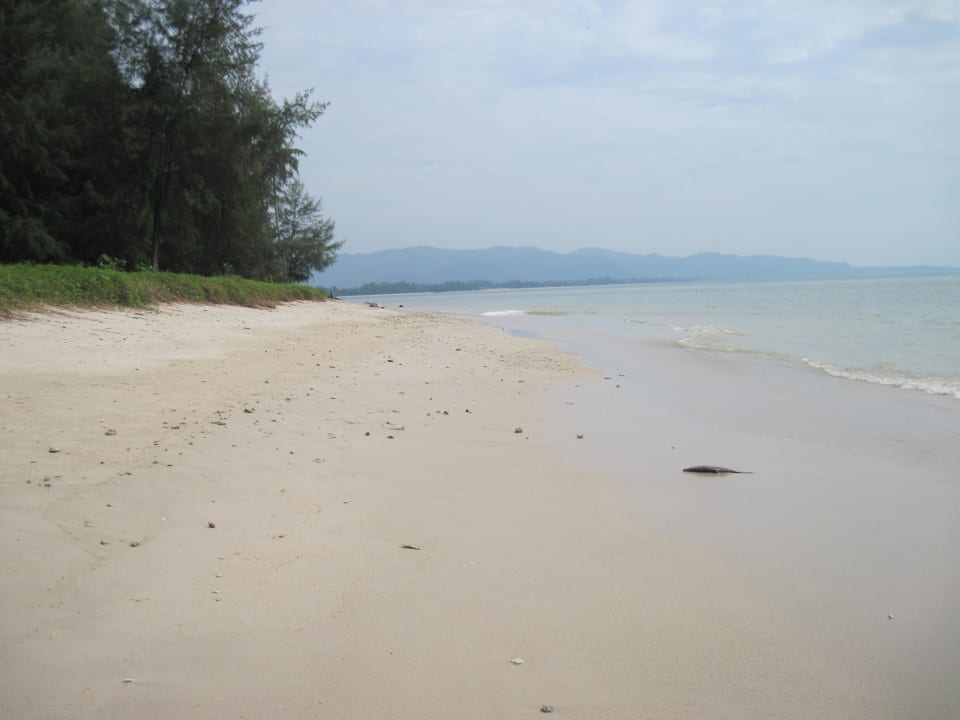 Strand einige Meter weiter rechts Hotel Takolaburi Khao Lak