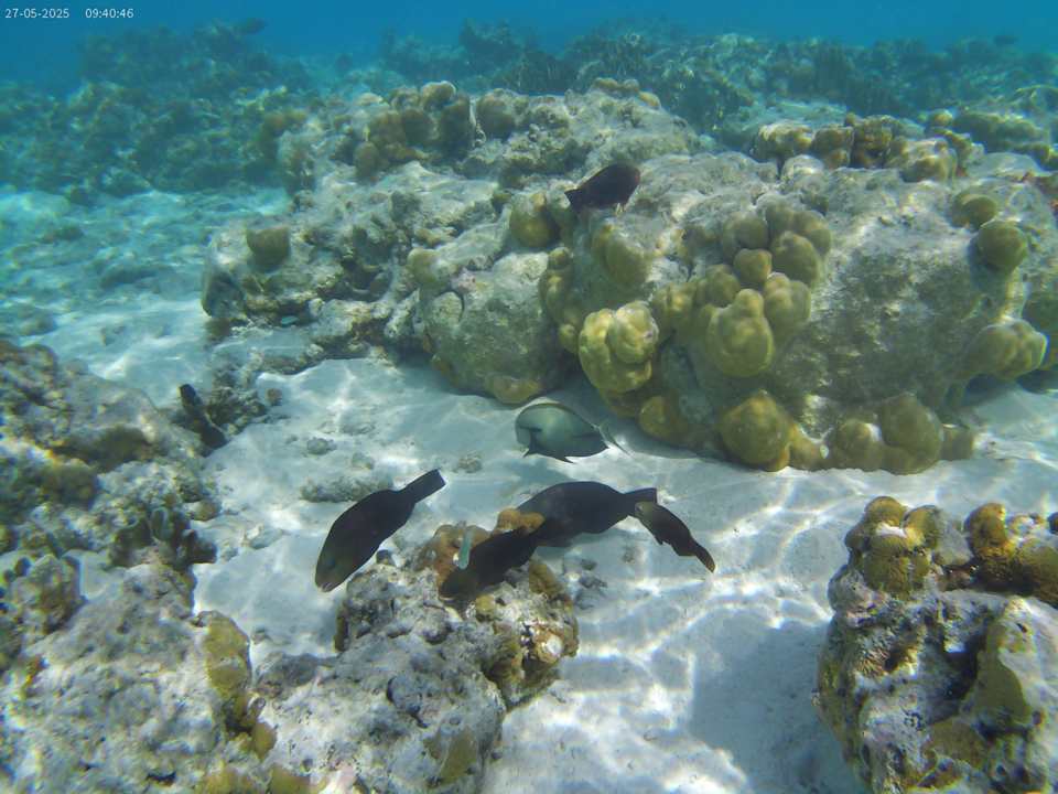 Strand Hotel Riu Atoll
