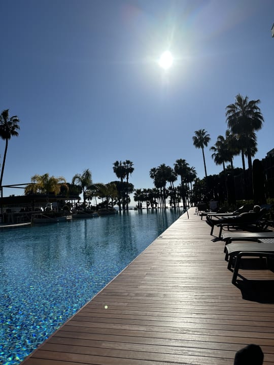 Pool Acanthus Cennet Barut Collection