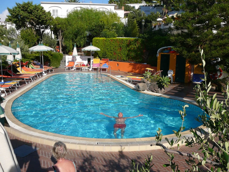 Pool Hotel La Pergola & Villa Flavio Ischia