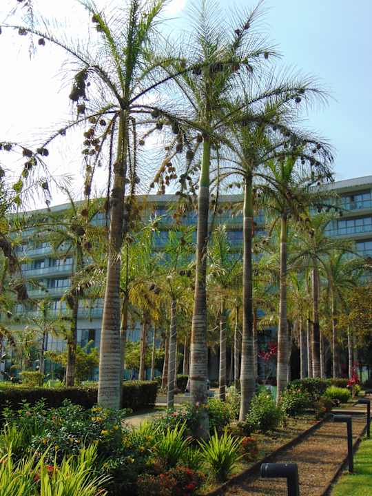 Außenansicht Sofitel Malabo Sipopo Le Golf