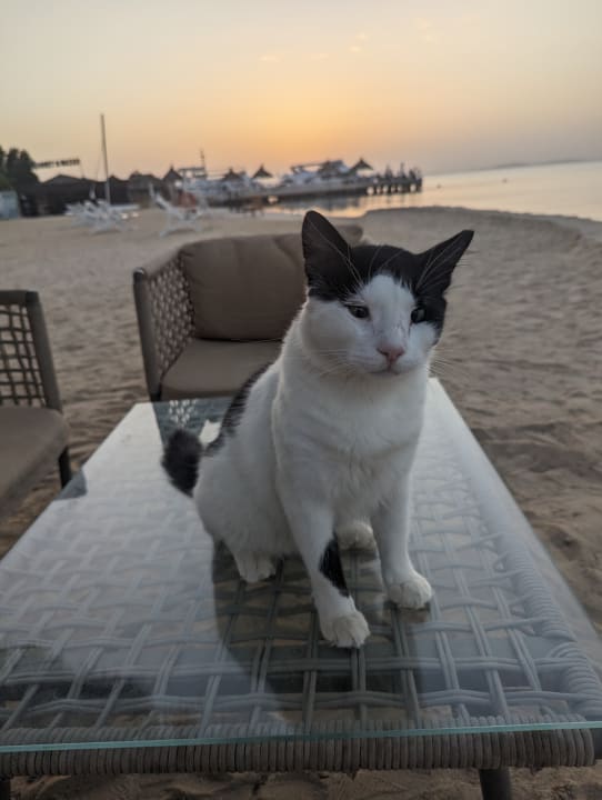 Strand Siva Grand Beach