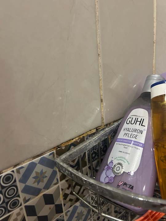 Zimmer The Grand Palace - Adults only