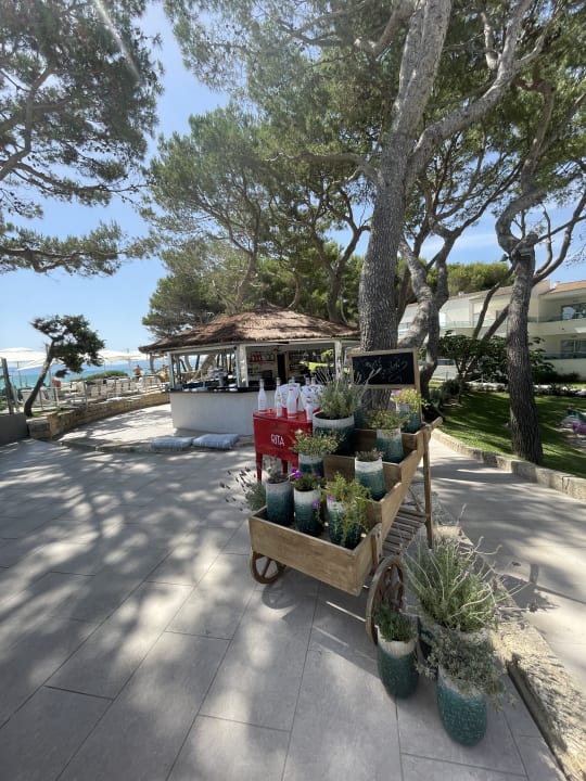 Gastro Iberostar Selection Playa de Muro Village