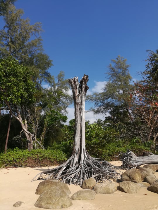 Strand The Briza Beach Resort Khaolak