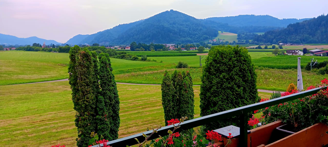 Ausblick Silberkönig Schwarzwald Hotel & Restaurant Ringhotel