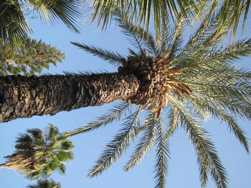 Urlaub 2012 in Alanya Labranda Alantur Resort