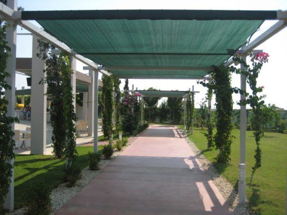 Außenanlage (Steg zu Pool 2) Saturn Palace Resort Hotel