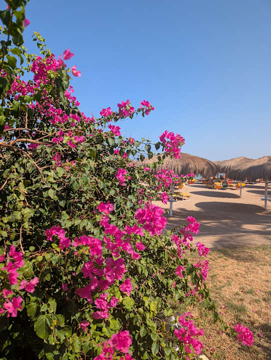 Strand Sentido Caribbean World Soma Bay