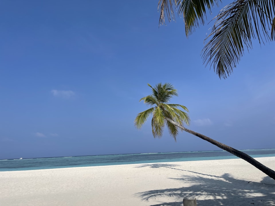 Strand Meeru Maldives Resort Island