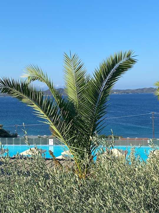 Gartenanlage Akrathos Beach Hotel