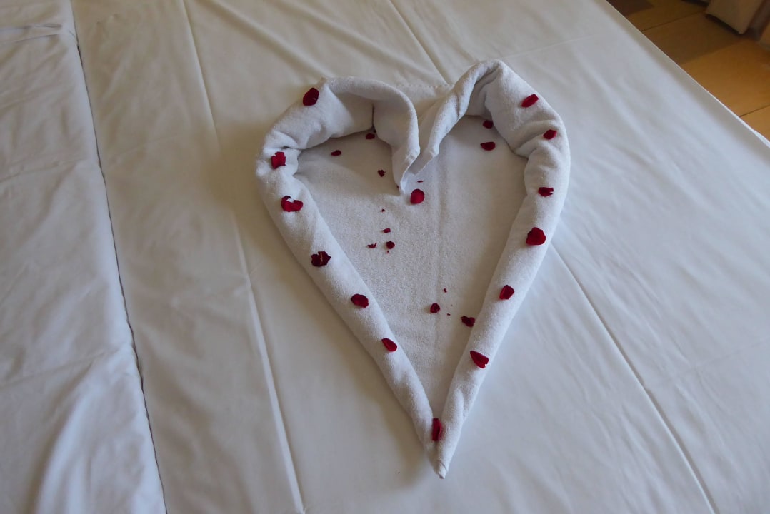 Jeden Tag was Neues... TUI BLUE Oceanis Beach and Spa Resort