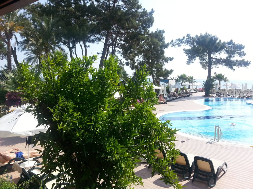 Animationspool Crystal Aura Aqua Collection