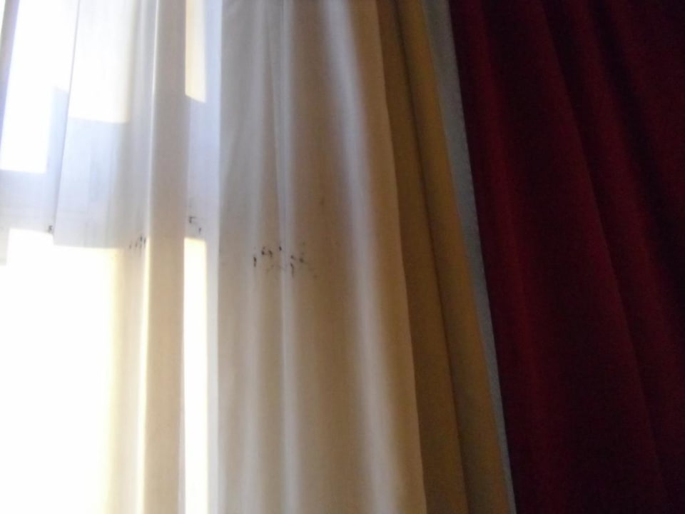 Gardinen im Zimmer acom Hotel Berlin Kurfürstendamm