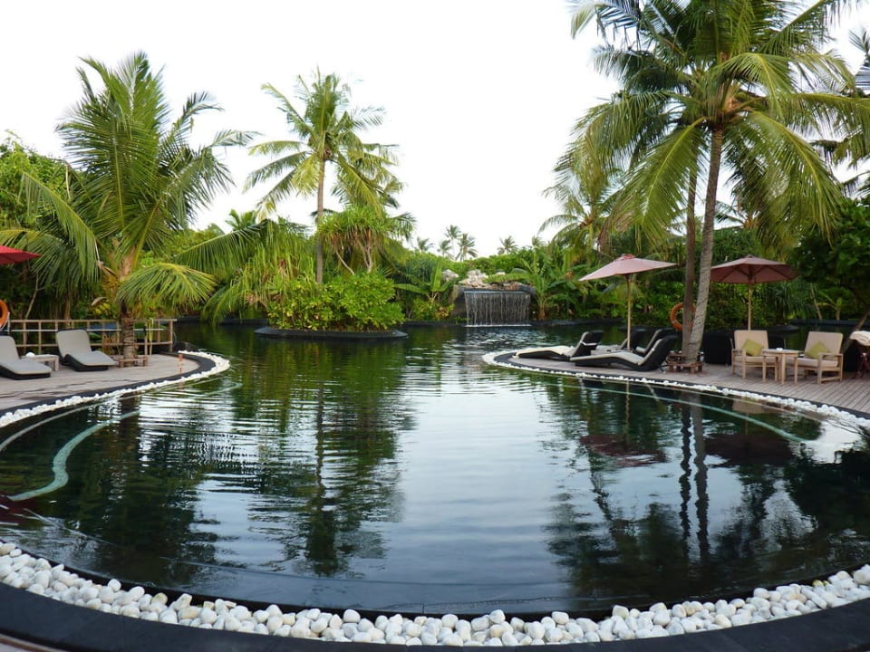 Family Pool Sun Siyam Iru Fushi