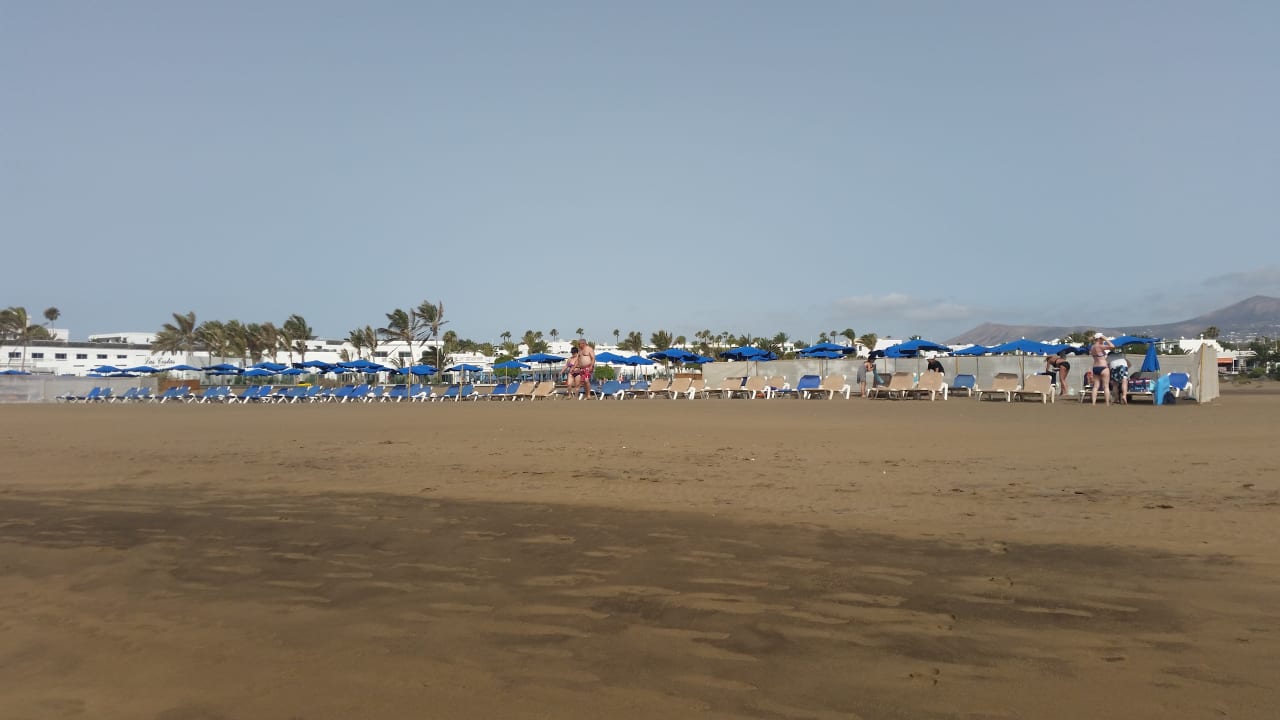 Strand Relaxia Olivina