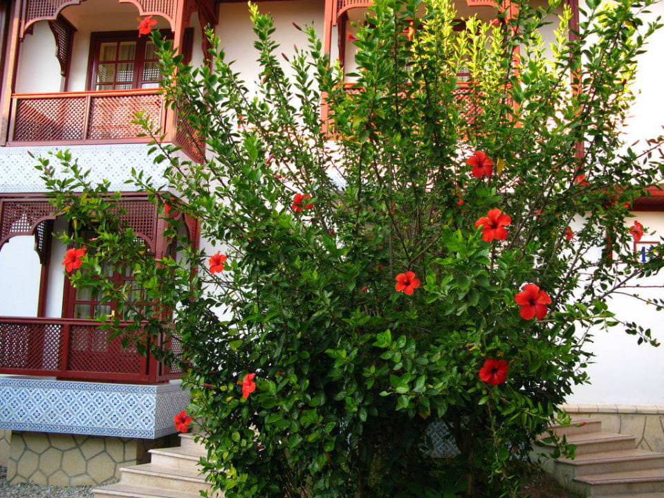 Club Ali Bey Manavgat Ali Bey Club