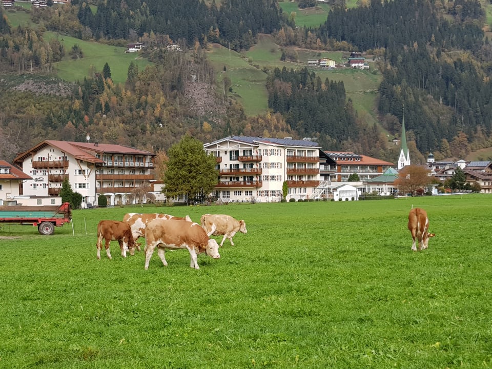Garten Theresa - Wellness & Genießer Hotel