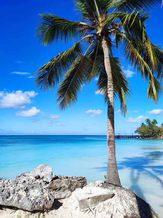 Strand Secrets La Romana Resort & Spa - Adult Only