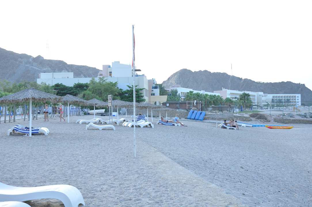 Sunbeds  Holiday Beach Resort