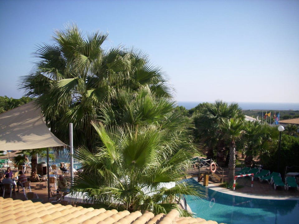 Aktiv Pool mit Bar Moon Dreams Marina Parc