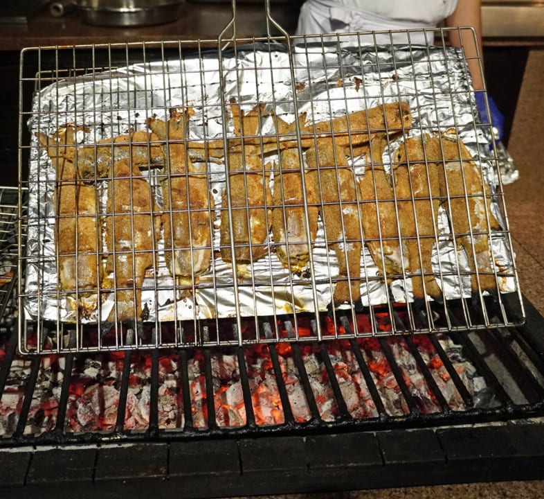 Gastro Jaz Solaya