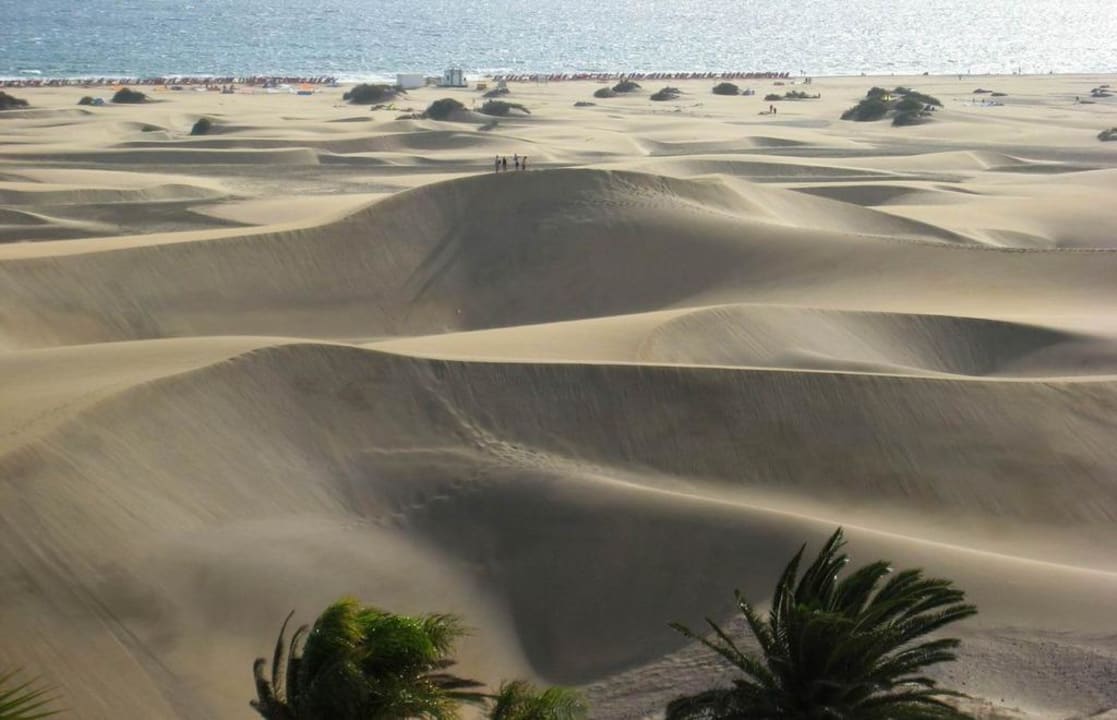 The dunes Hotel Riu Palace Maspalomas Adults Only