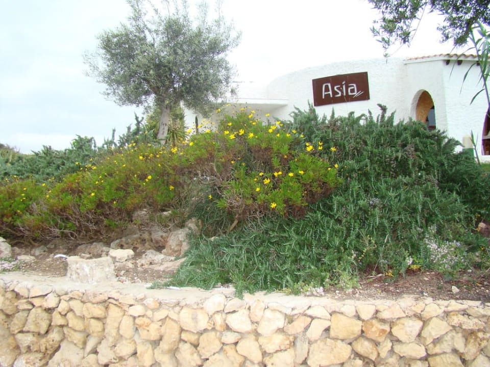 Asiarestaurant Apartments Los Naranjos