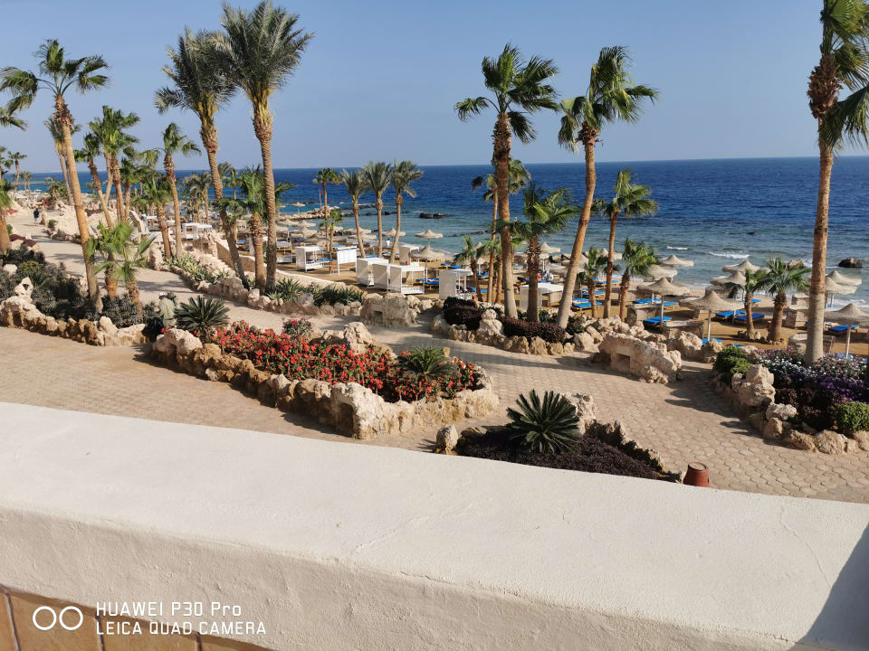 Strand Pickalbatros Citadel Resort