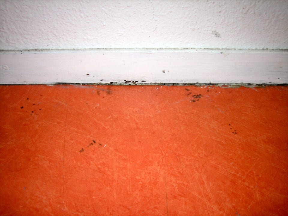 Fußleiste Hotel Premiere Classe Arles