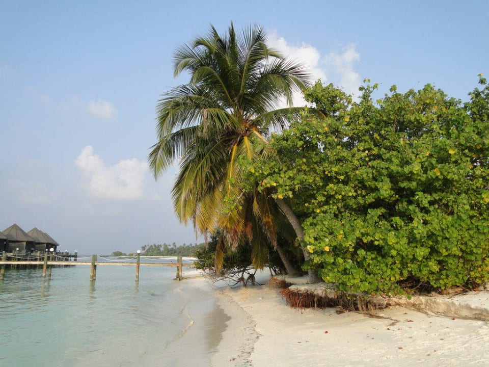 Strand bei den Sangu-Water-Villas Kuredu Island Resort & Spa