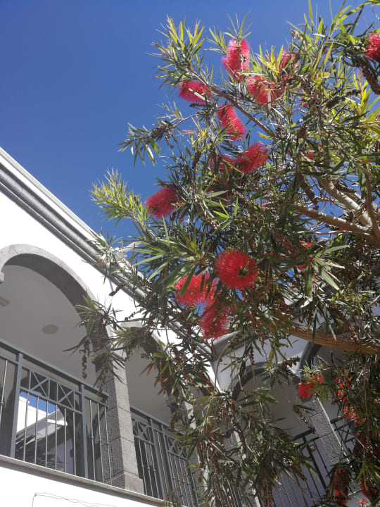 Gartenanlage Royal Palm Resort & Spa - Adults only