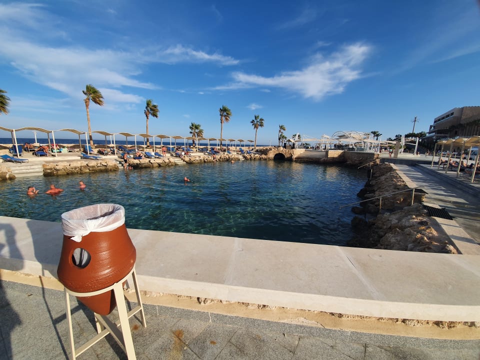 Sport & Freizeit Pickalbatros Citadel Resort