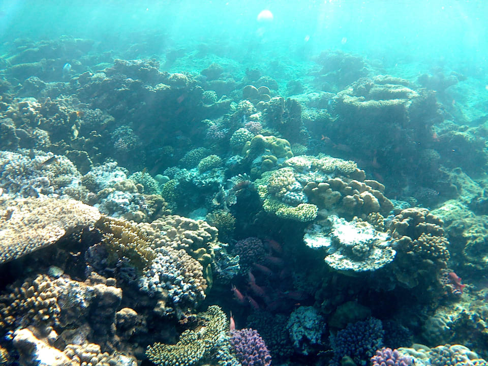 Strand Casa Mare Resort