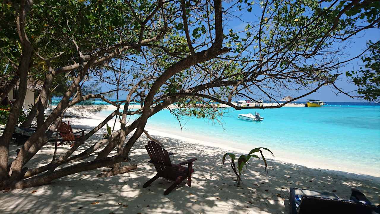 Strand Summer Island Maldives