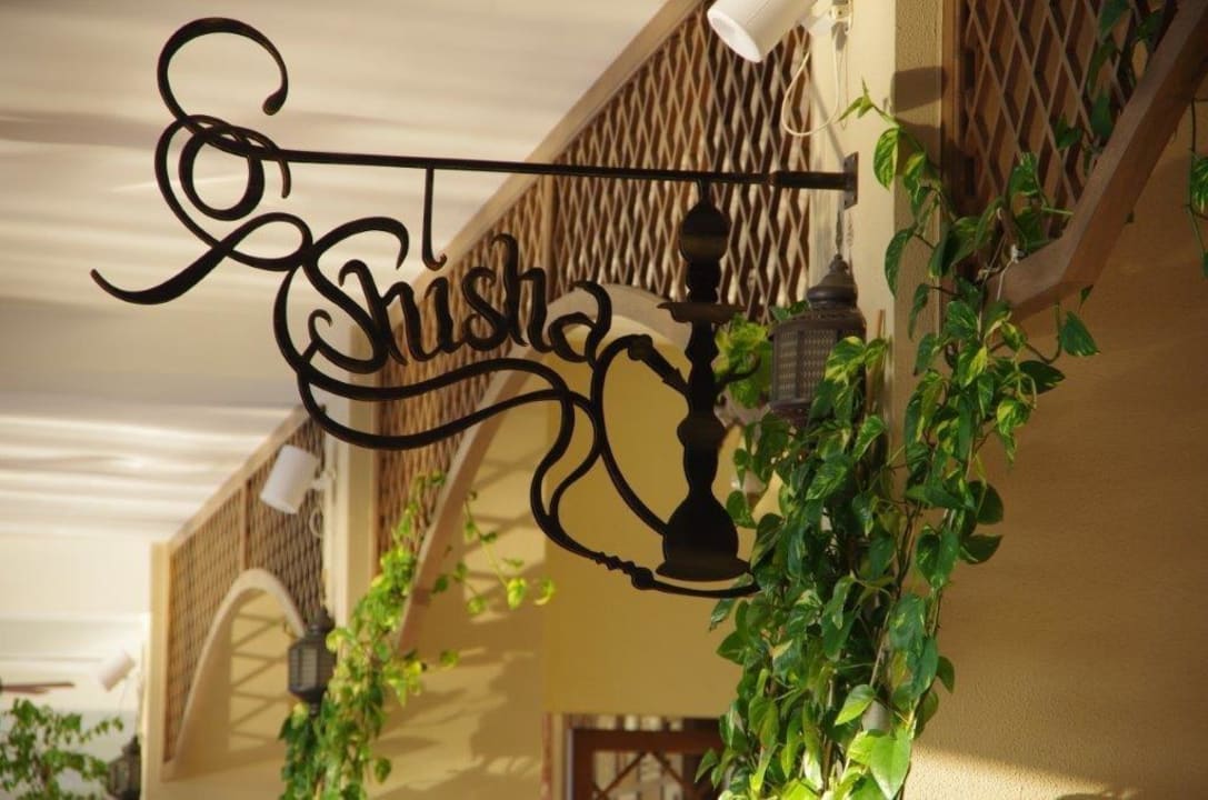 Shisha Paloma Oceana