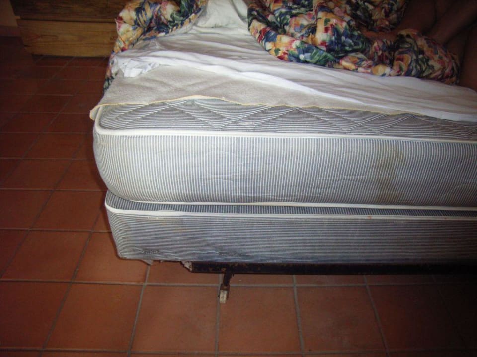 bett whala!boca chica