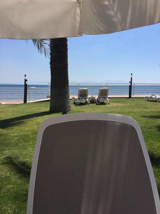 Aussicht von der Poolliege Paloma Pasha