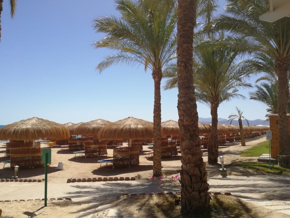 Strand Sentido Caribbean World Soma Bay