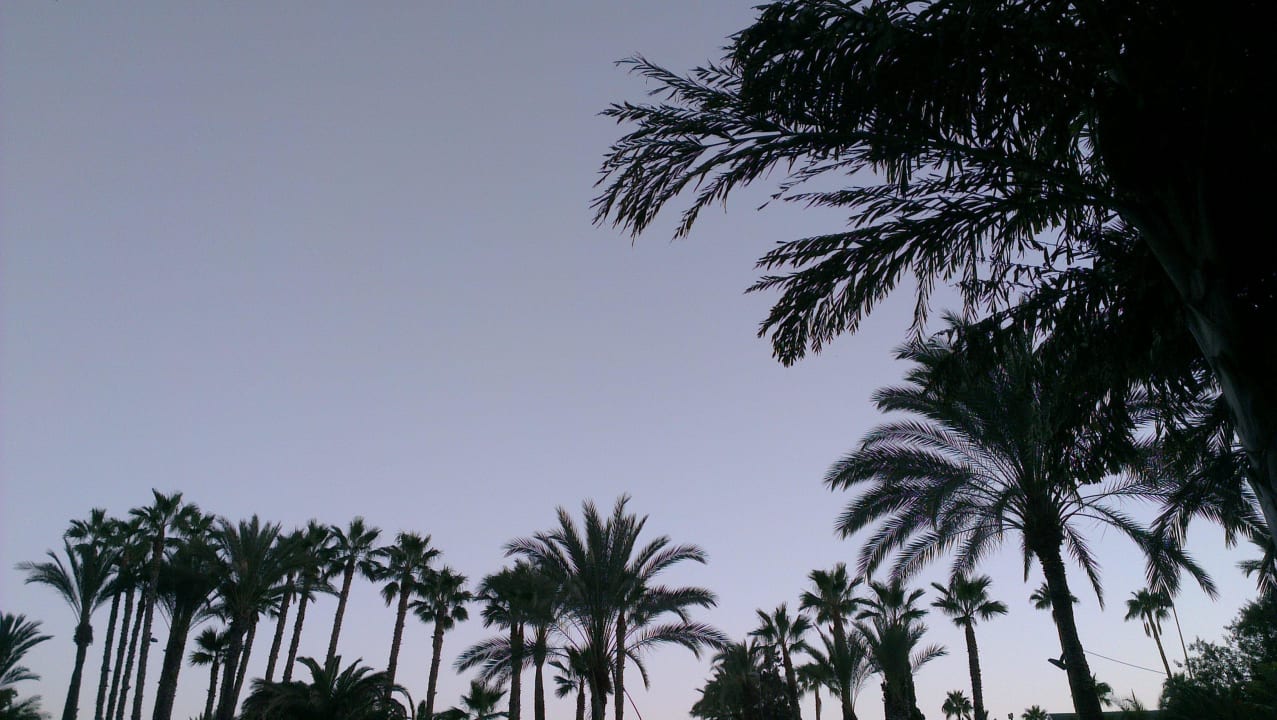 Blick von der Honolulu-Bar am Abend Abora Buenaventura by Lopesan Hotels