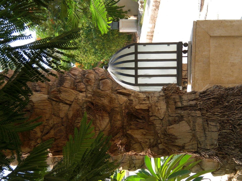 Außenansicht The Grand Hotel Sharm El Sheikh